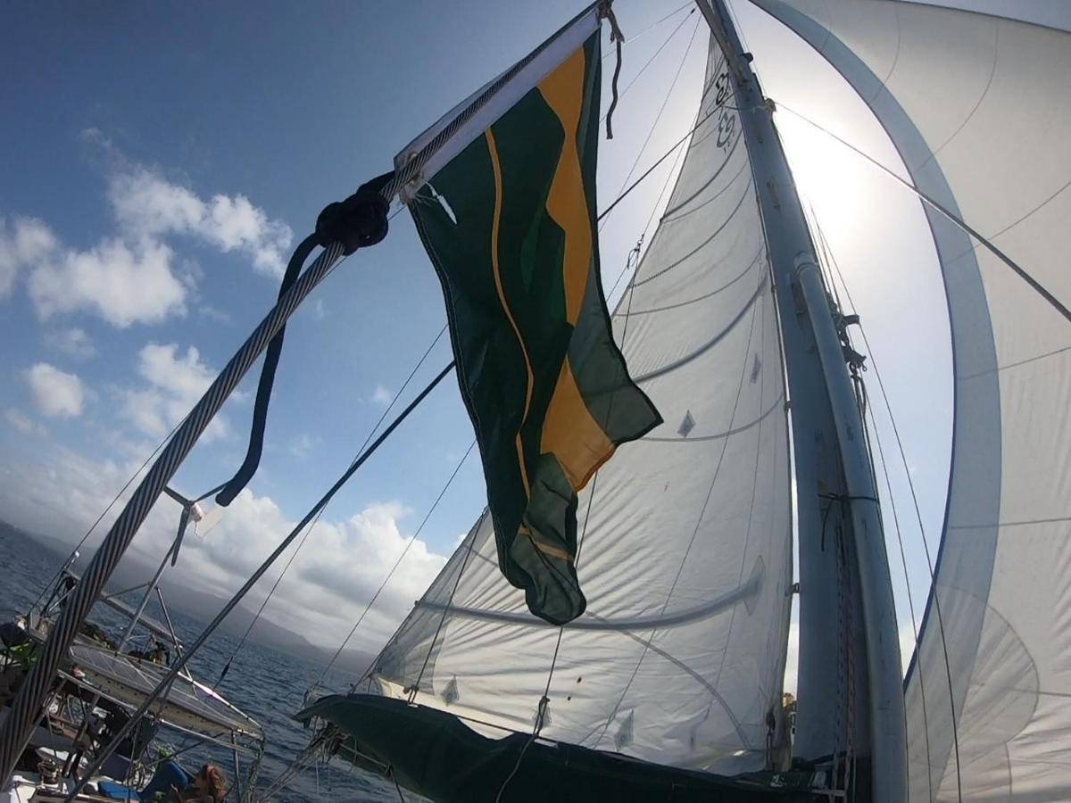 Sanblasonsailboats El Porvenir Ngoại thất bức ảnh